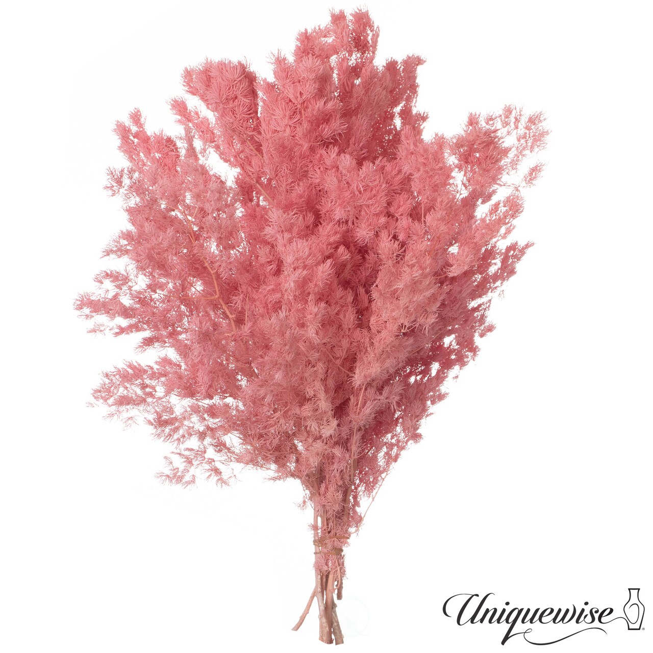 Uniquewise Preserved Real Floral Stems Chic Vase Fillers & Accents for Bouquets Centerpieces & Ornamental Displays Ideal for Home Office Boutique Cafe Resto Bar and Event Decor